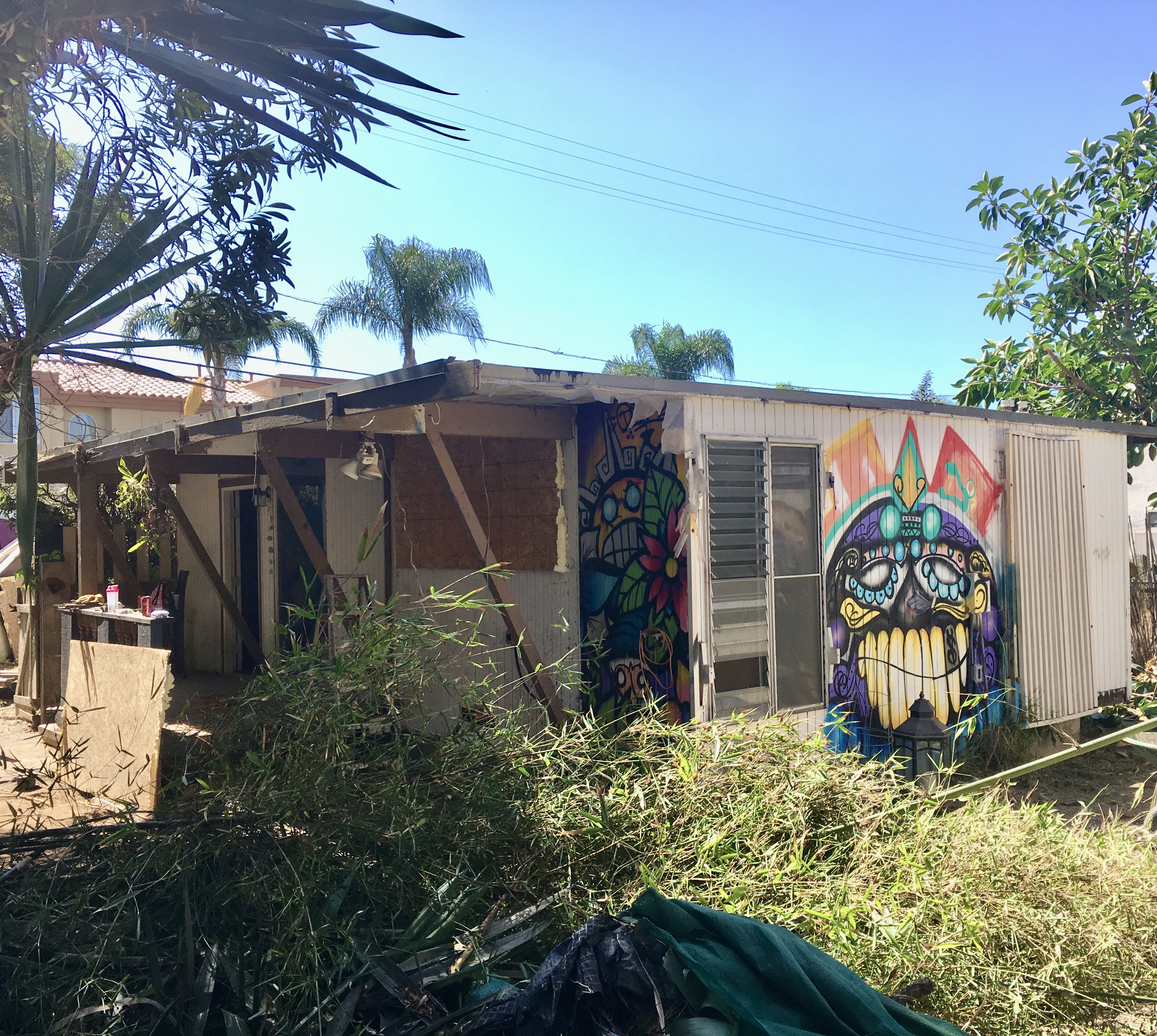 Cleveland Street — Distressed property with graffiti before acquisition