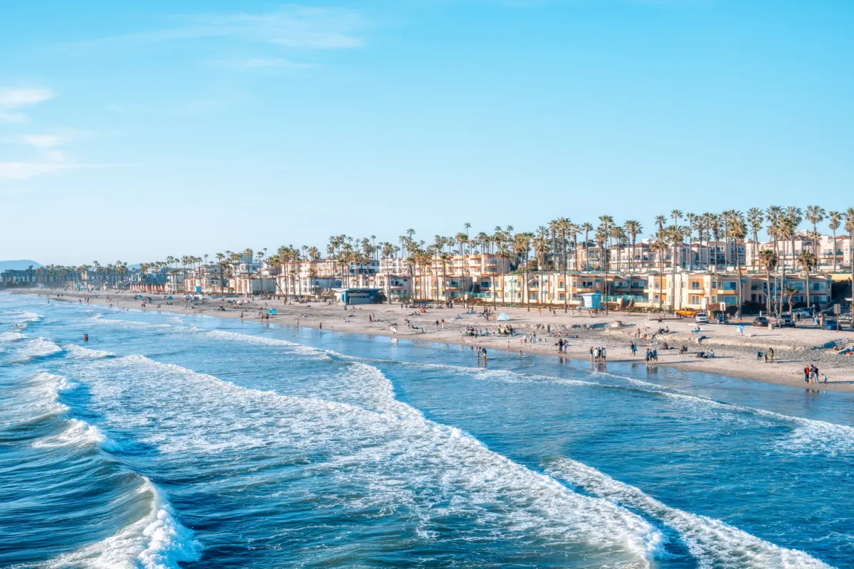 Oceanside coastline with waves and palm trees